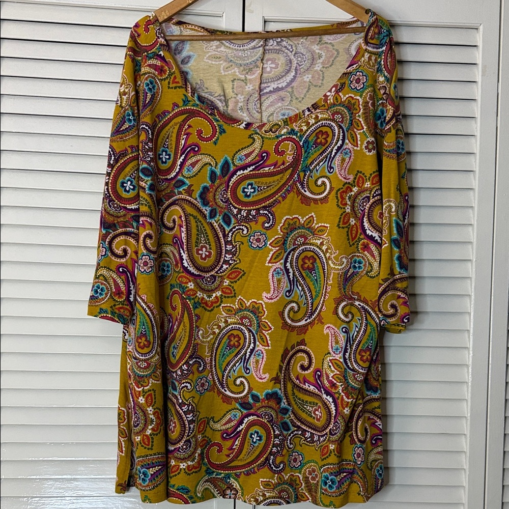 Terra & Sky Multicolor Paisley Tunic